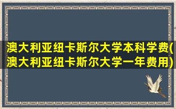 澳大利亚纽卡斯尔大学本科学费(澳大利亚纽卡斯尔大学一年费用)