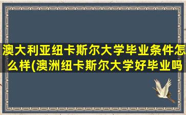 澳大利亚纽卡斯尔大学毕业条件怎么样(澳洲纽卡斯尔大学好毕业吗)