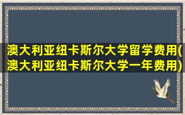 澳大利亚纽卡斯尔大学留学费用(澳大利亚纽卡斯尔大学一年费用)