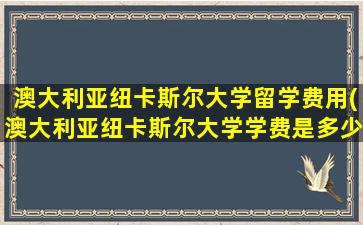 澳大利亚纽卡斯尔大学留学费用(澳大利亚纽卡斯尔大学学费是多少)