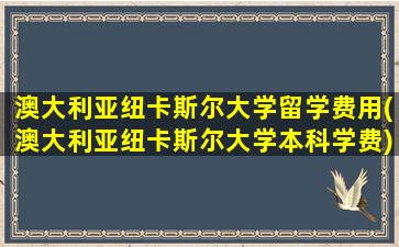 澳大利亚纽卡斯尔大学留学费用(澳大利亚纽卡斯尔大学本科学费)