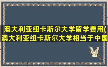 澳大利亚纽卡斯尔大学留学费用(澳大利亚纽卡斯尔大学相当于中国什么大学)