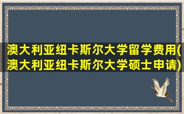 澳大利亚纽卡斯尔大学留学费用(澳大利亚纽卡斯尔大学硕士申请)