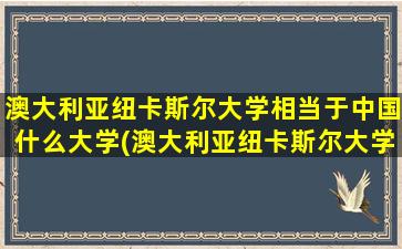 澳大利亚纽卡斯尔大学相当于中国什么大学(澳大利亚纽卡斯尔大学全球排名)