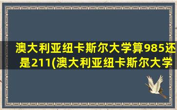 澳大利亚纽卡斯尔大学算985还是211(澳大利亚纽卡斯尔大学留学费用)