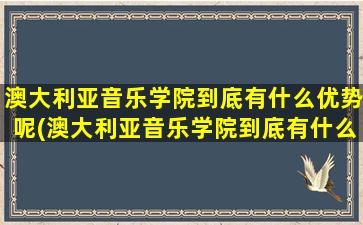 澳大利亚音乐学院到底有什么优势呢(澳大利亚音乐学院到底有什么优势专业)