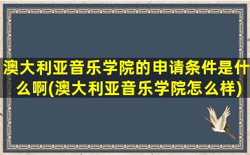 澳大利亚音乐学院的申请条件是什么啊(澳大利亚音乐学院怎么样)