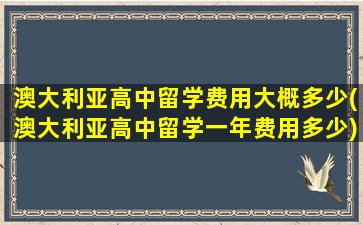 澳大利亚高中留学费用大概多少(澳大利亚高中留学一年费用多少)