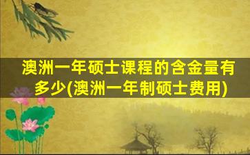 澳洲一年硕士课程的含金量有多少(澳洲一年制硕士费用)