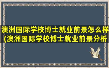 澳洲国际学校博士就业前景怎么样(澳洲国际学校博士就业前景分析)