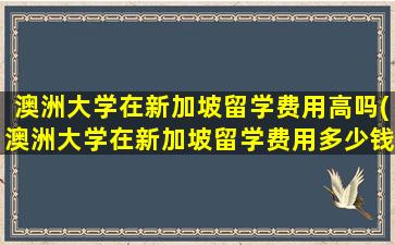 澳洲大学在新加坡留学费用高吗(澳洲大学在新加坡留学费用多少钱)