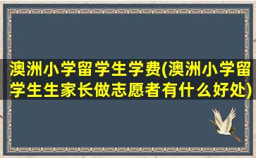 澳洲小学留学生学费(澳洲小学留学生生家长做志愿者有什么好处)