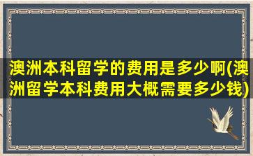 澳洲本科留学的费用是多少啊(澳洲留学本科费用大概需要多少钱)