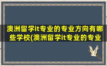 澳洲留学it专业的专业方向有哪些学校(澳洲留学it专业的专业方向有哪些要求)