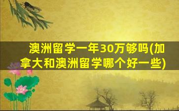 澳洲留学一年30万够吗(加拿大和澳洲留学哪个好一些)