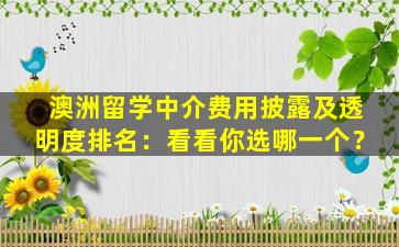 澳洲留学中介费用披露及透明度排名：看看你选哪一个？