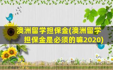 澳洲留学担保金(澳洲留学担保金是必须的嘛2020)