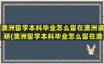 澳洲留学本科毕业怎么留在澳洲读研(澳洲留学本科毕业怎么留在澳洲读博)