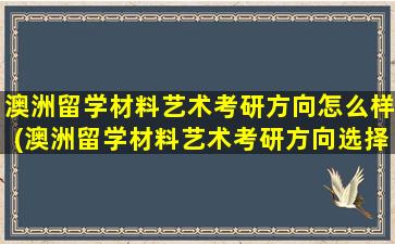 澳洲留学材料艺术考研方向怎么样(澳洲留学材料艺术考研方向选择)