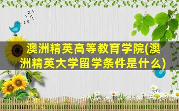 澳洲精英高等教育学院(澳洲精英大学留学条件是什么)