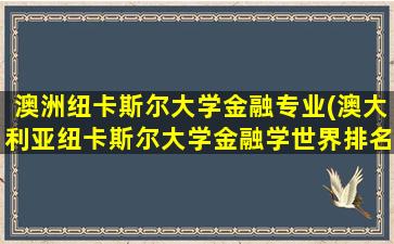 澳洲纽卡斯尔大学金融专业(澳大利亚纽卡斯尔大学金融学世界排名)