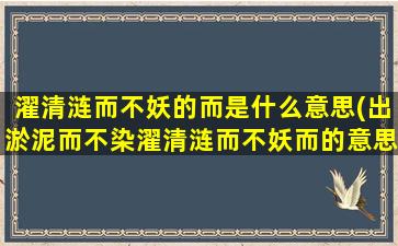 濯清涟而不妖的而是什么意思(出淤泥而不染濯清涟而不妖而的意思)