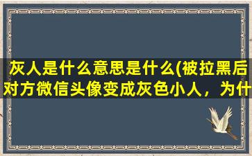 灰人是什么意思是什么(被拉黑后对方微信头像变成灰色小人，为什么)