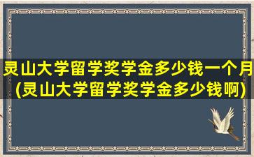 灵山大学留学奖学金多少钱一个月(灵山大学留学奖学金多少钱啊)