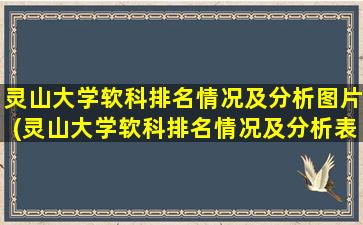 灵山大学软科排名情况及分析图片(灵山大学软科排名情况及分析表)