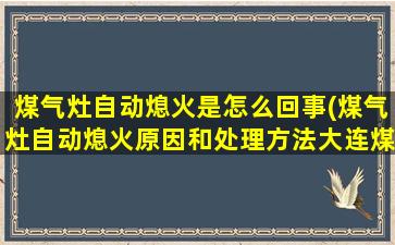 煤气灶自动熄火是怎么回事(煤气灶自动熄火原因和处理方法大连煤气灶维修)