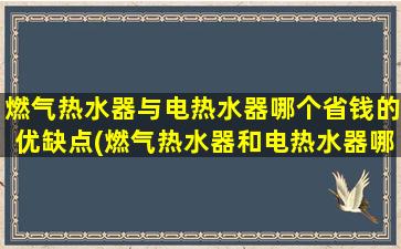 燃气热水器与电热水器哪个省钱的优缺点(燃气热水器和电热水器哪一个更省钱)