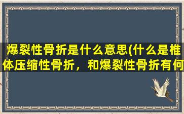 爆裂性骨折是什么意思(什么是椎体压缩性骨折，和爆裂性骨折有何区别)