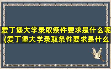 爱丁堡大学录取条件要求是什么呢(爱丁堡大学录取条件要求是什么样的)