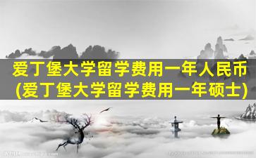 爱丁堡大学留学费用一年人民币(爱丁堡大学留学费用一年硕士)