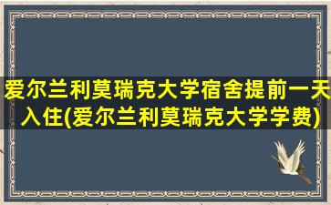 爱尔兰利莫瑞克大学宿舍提前一天入住(爱尔兰利莫瑞克大学学费)