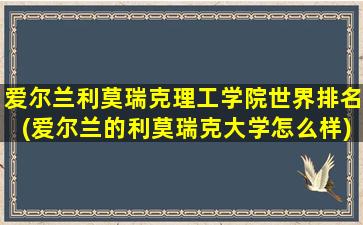 爱尔兰利莫瑞克理工学院世界排名(爱尔兰的利莫瑞克大学怎么样)