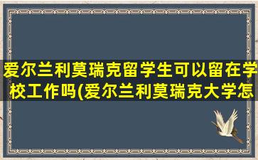 爱尔兰利莫瑞克留学生可以留在学校工作吗(爱尔兰利莫瑞克大学怎么样)