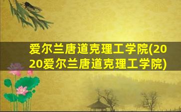 爱尔兰唐道克理工学院(2020爱尔兰唐道克理工学院)