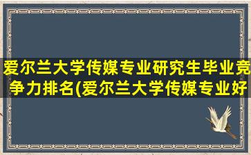 爱尔兰大学传媒专业研究生毕业竞争力排名(爱尔兰大学传媒专业好吗)