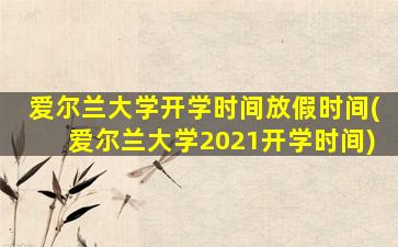 爱尔兰大学开学时间放假时间(爱尔兰大学2021开学时间)