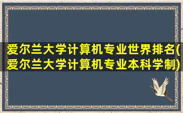 爱尔兰大学计算机专业世界排名(爱尔兰大学计算机专业本科学制)