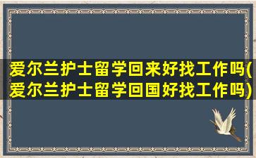 爱尔兰护士留学回来好找工作吗(爱尔兰护士留学回国好找工作吗)