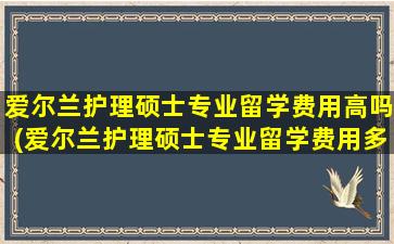 爱尔兰护理硕士专业留学费用高吗(爱尔兰护理硕士专业留学费用多少钱)