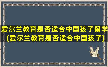 爱尔兰教育是否适合中国孩子留学(爱尔兰教育是否适合中国孩子)