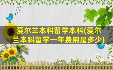 爱尔兰本科留学本科(爱尔兰本科留学一年费用是多少)