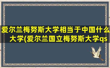 爱尔兰梅努斯大学相当于中国什么大学(爱尔兰国立梅努斯大学qs排名)