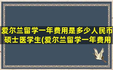 爱尔兰留学一年费用是多少人民币硕士医学生(爱尔兰留学一年费用是多少钱)