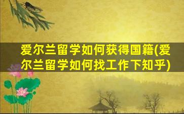 爱尔兰留学如何获得国籍(爱尔兰留学如何找工作下知乎)