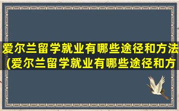 爱尔兰留学就业有哪些途径和方法(爱尔兰留学就业有哪些途径和方式)