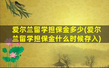 爱尔兰留学担保金多少(爱尔兰留学担保金什么时候存入)